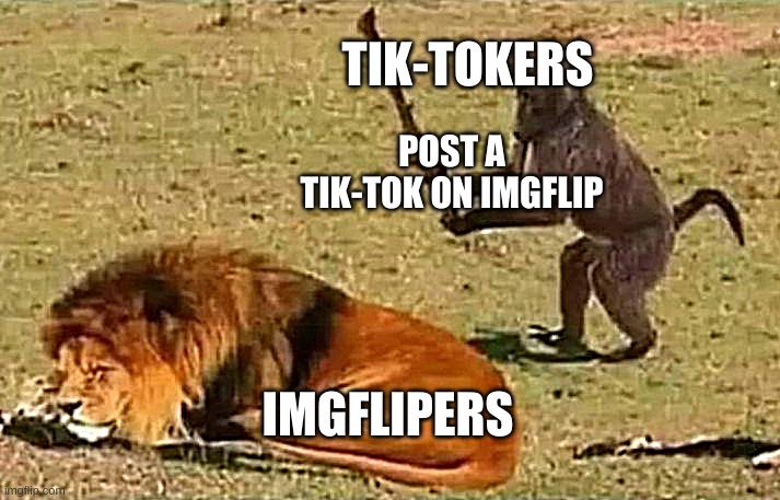 Hello IMGFLIP, goodbye tik-tok | TIK-TOKERS; POST A TIK-TOK ON IMGFLIP; IMGFLIPERS | image tagged in tik tok sucks | made w/ Imgflip meme maker