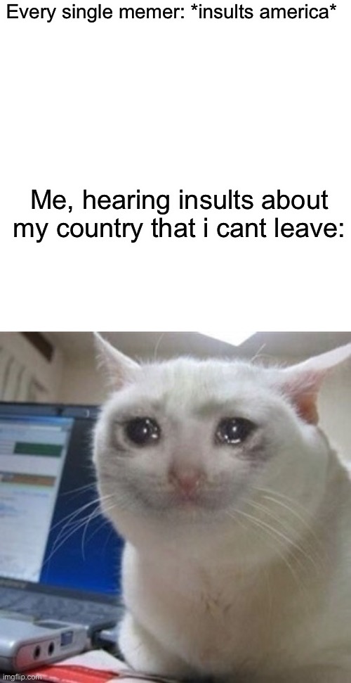 true af | Every single memer: *insults america*; Me, hearing insults about my country that i cant leave: | image tagged in crying cat | made w/ Imgflip meme maker