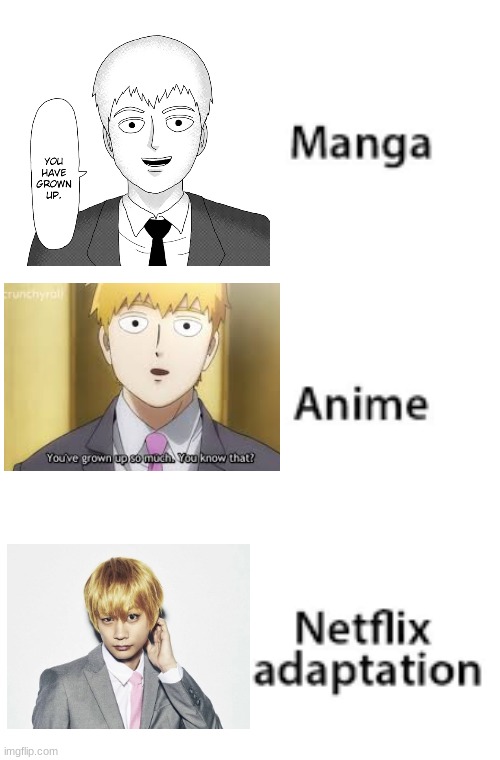 Manga Anime Netflix Adaption | image tagged in manga anime netflix adaption,mob psycho 100 | made w/ Imgflip meme maker
