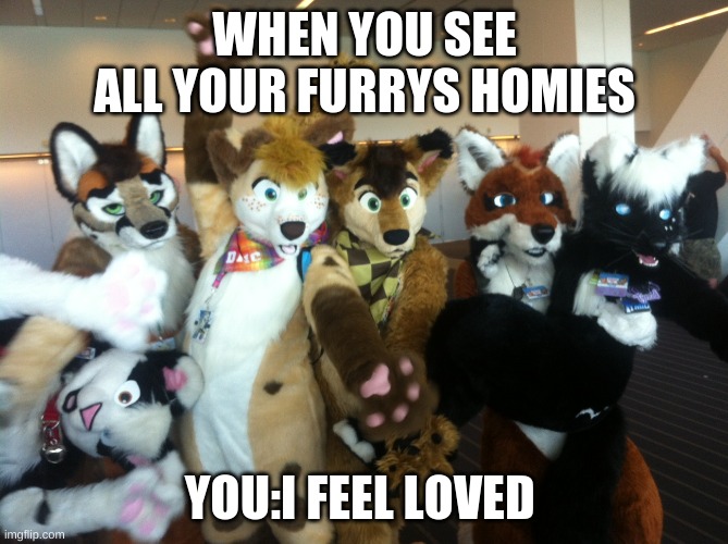 yes | WHEN YOU SEE ALL YOUR FURRYS HOMIES; YOU:I FEEL LOVED | image tagged in furries | made w/ Imgflip meme maker