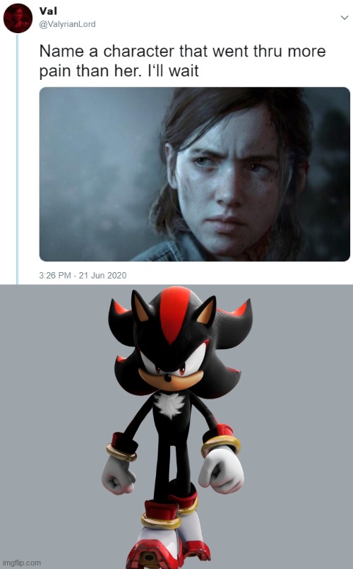 Name one character who went through more pain than her | image tagged in name one character who went through more pain than her,memes,shadow the hedgehog | made w/ Imgflip meme maker