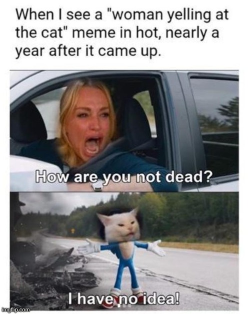 How are you still alive | image tagged in how crazy | made w/ Imgflip meme maker