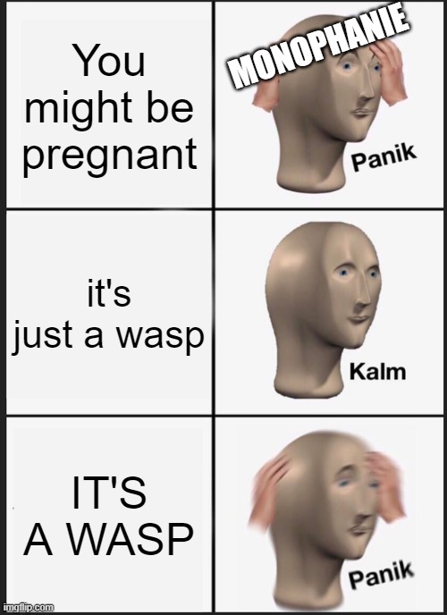 Panik Kalm Panik Meme | You might be pregnant; MONOPHANIE; it's just a wasp; IT'S A WASP | image tagged in memes,panik kalm panik | made w/ Imgflip meme maker