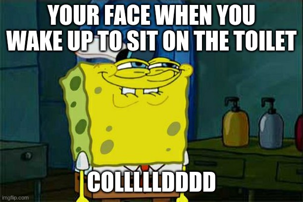 Don't You Squidward Meme | YOUR FACE WHEN YOU WAKE UP TO SIT ON THE TOILET; COLLLLLDDDD | image tagged in memes,don't you squidward | made w/ Imgflip meme maker