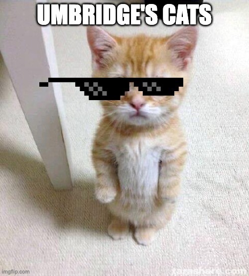 Cute Cat Meme | UMBRIDGE'S CATS | image tagged in memes,cute cat | made w/ Imgflip meme maker