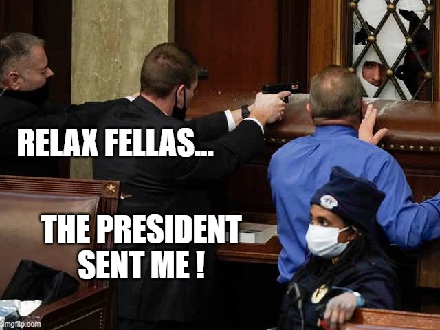 Relax fellas | RELAX FELLAS... THE PRESIDENT SENT ME ! | image tagged in guns drawn,capitol seige,capitol guns drawn,don't shoot | made w/ Imgflip meme maker