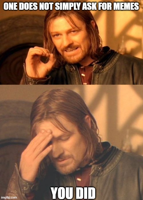 ONE DOES NOT SIMPLY ASK FOR MEMES YOU DID | image tagged in memes,one does not simply,frustrated boromir | made w/ Imgflip meme maker