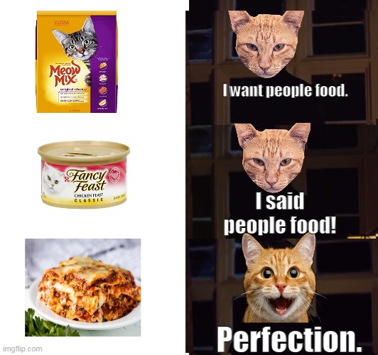 People Food | I want people food. I said people food! Perfection. | image tagged in memes,cat,cats,perfection | made w/ Imgflip meme maker