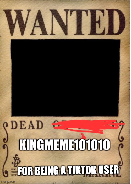 Ban him! | KINGMEME101010; FOR BEING A TIKTOK USER | image tagged in one piece wanted poster template | made w/ Imgflip meme maker