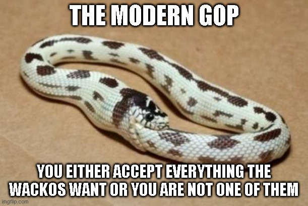 When the GOP instituted a purity test, I knew they were doomed to fail | THE MODERN GOP; YOU EITHER ACCEPT EVERYTHING THE WACKOS WANT OR YOU ARE NOT ONE OF THEM | image tagged in snake eating itself | made w/ Imgflip meme maker
