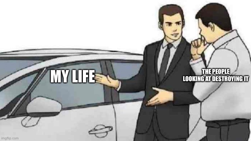 Why is this so true.. | THE PEOPLE LOOKING AT DESTROYING IT; MY LIFE | image tagged in memes,car salesman slaps roof of car | made w/ Imgflip meme maker