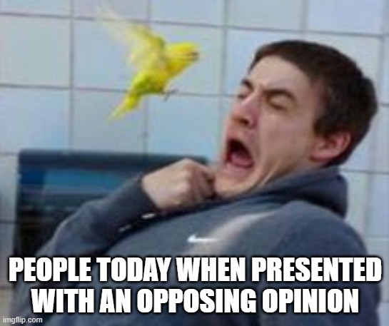 Opposing Opinions | PEOPLE TODAY WHEN PRESENTED WITH AN OPPOSING OPINION | image tagged in twitter,facebook,millennials,butt hurt | made w/ Imgflip meme maker