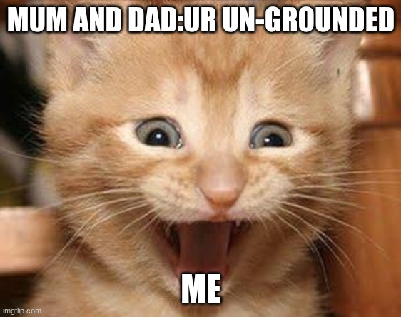 REALLY DAD!!! | MUM AND DAD:UR UN-GROUNDED; ME | image tagged in memes,excited cat | made w/ Imgflip meme maker