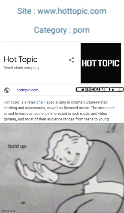 But... Hot Topic is a STORE.... | HOT TOPIC IS A DAMN STORE!!! | image tagged in fallout hold up,hot topic,google,wat | made w/ Imgflip meme maker