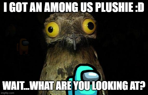 yes | I GOT AN AMONG US PLUSHIE :D; WAIT...WHAT ARE YOU LOOKING AT? | image tagged in memes,weird stuff i do potoo,among us | made w/ Imgflip meme maker