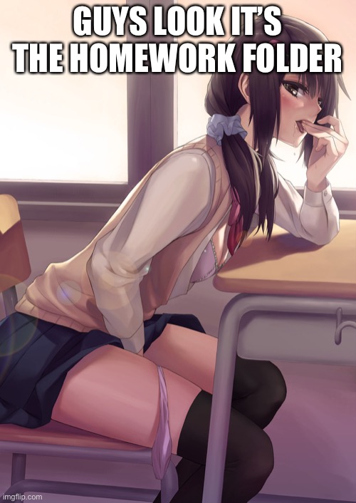 Hentai anime girl | GUYS LOOK IT’S THE HOMEWORK FOLDER | image tagged in hentai anime girl | made w/ Imgflip meme maker