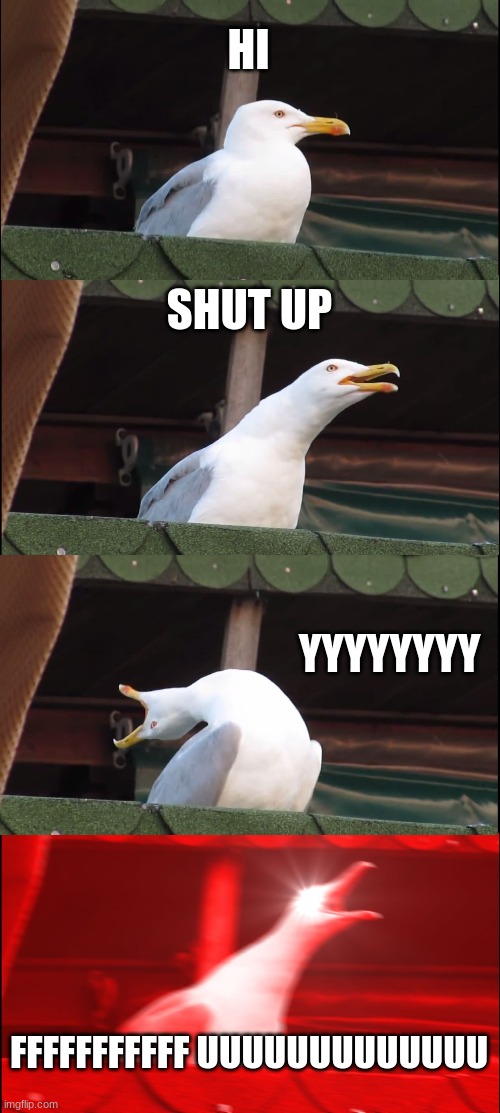 Inhaling Seagull Meme | HI; SHUT UP; YYYYYYYY; FFFFFFFFFFF UUUUUUUUUUUUU | image tagged in memes,inhaling seagull | made w/ Imgflip meme maker