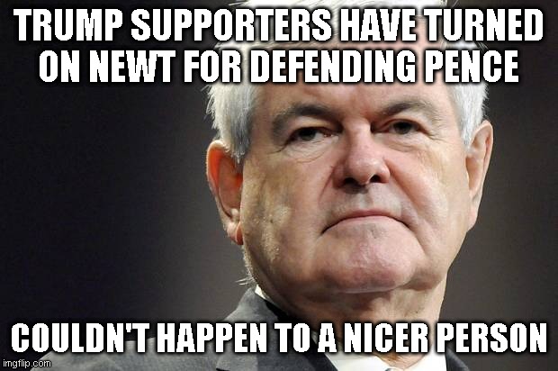 Attacked by the monster he helped bring to life - Like a low budget MST3000 movie | TRUMP SUPPORTERS HAVE TURNED ON NEWT FOR DEFENDING PENCE; COULDN'T HAPPEN TO A NICER PERSON | image tagged in newt gingrich | made w/ Imgflip meme maker