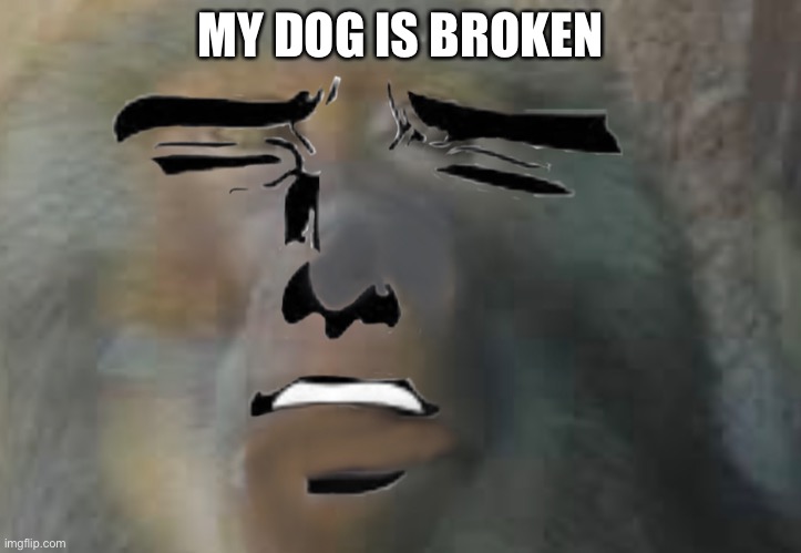 My Dog is Broken | MY DOG IS BROKEN | image tagged in monkey,doge,broken,memes | made w/ Imgflip meme maker