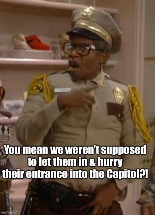 Cause that’s what the video shows | You mean we weren’t supposed to let them in & hurry their entrance into the Capitol?! | image tagged in mr otis the security guard from martin,capitol hill,riot,security | made w/ Imgflip meme maker