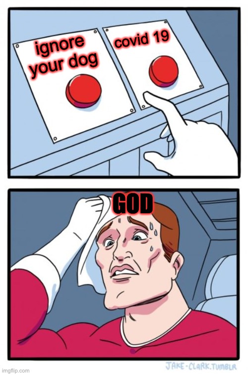 Two Buttons | covid 19; ignore your dog; GOD | image tagged in memes,two buttons | made w/ Imgflip meme maker