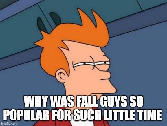 r/hmmmmm | WHY WAS FALL GUYS SO POPULAR FOR SUCH LITTLE TIME | image tagged in memes,futurama fry | made w/ Imgflip meme maker