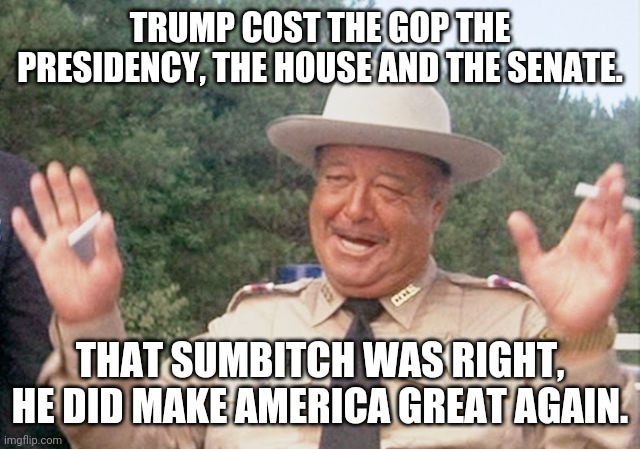 Promise made, Promise kept. | TRUMP COST THE GOP THE PRESIDENCY, THE HOUSE AND THE SENATE. THAT SUMBITCH WAS RIGHT, HE DID MAKE AMERICA GREAT AGAIN. | image tagged in thank you | made w/ Imgflip meme maker