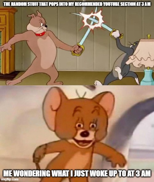 Youtube Recommended section | THE RANDOM STUFF THAT POPS INTO MY RECOMMENDED YOUTUBE SECTION AT 3 AM; ME WONDERING WHAT I JUST WOKE UP TO AT 3 AM | image tagged in tom and jerry swordfight | made w/ Imgflip meme maker