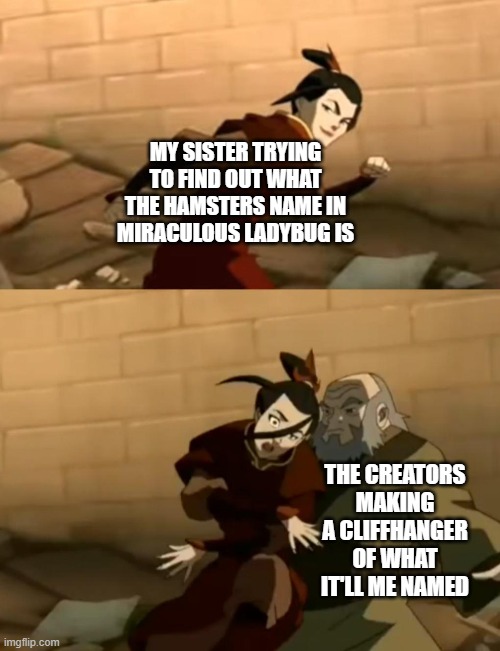 She really needs to know the name. | MY SISTER TRYING TO FIND OUT WHAT THE HAMSTERS NAME IN MIRACULOUS LADYBUG IS; THE CREATORS MAKING A CLIFFHANGER OF WHAT IT'LL ME NAMED | image tagged in azula bumps into iroh,miraculous ladybug,avatar the last airbender,oh wow are you actually reading these tags | made w/ Imgflip meme maker
