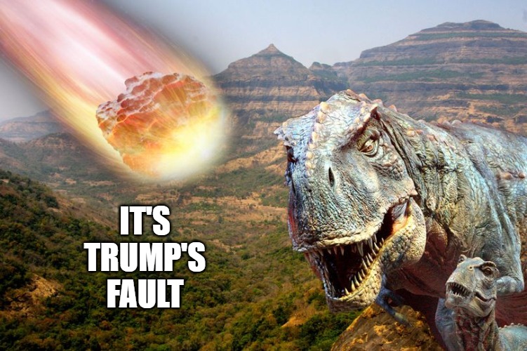 Trump's Fault | IT'S TRUMP'S FAULT | image tagged in dinosaur,funny,trump | made w/ Imgflip meme maker