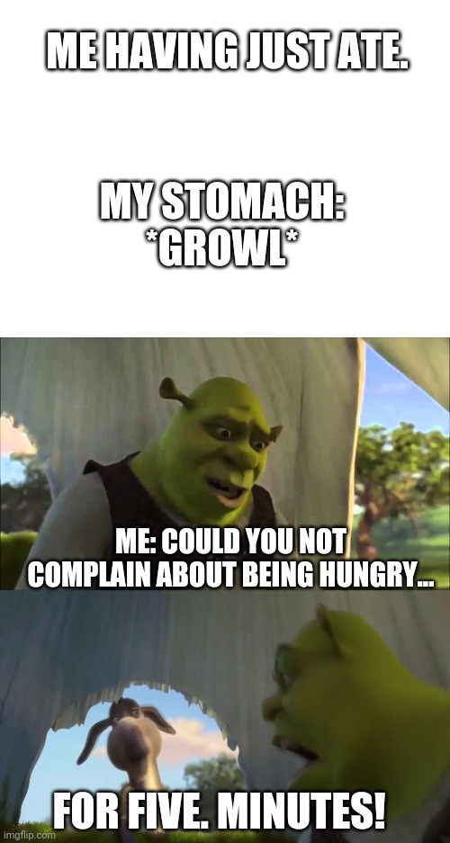 Always hungry | ME HAVING JUST ATE. MY STOMACH: *GROWL*; ME: COULD YOU NOT COMPLAIN ABOUT BEING HUNGRY... FOR FIVE. MINUTES! | image tagged in blank white template,shrek five minutes,hungry | made w/ Imgflip meme maker
