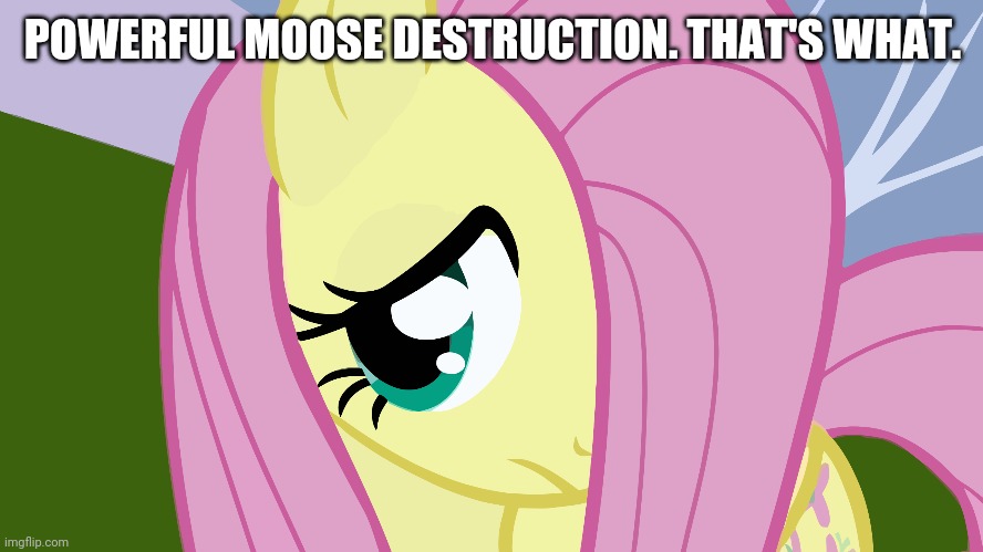 Fluttershy Is Very Cute (MLP) | POWERFUL MOOSE DESTRUCTION. THAT'S WHAT. | image tagged in fluttershy is very cute mlp | made w/ Imgflip meme maker