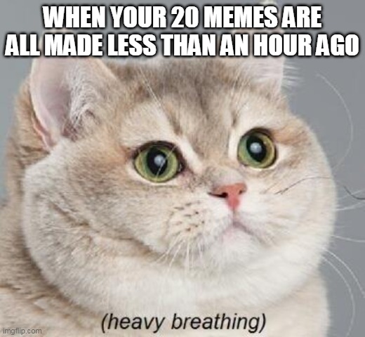 I did 20 memes in less than an hour. Beat that if you can | WHEN YOUR 20 MEMES ARE ALL MADE LESS THAN AN HOUR AGO | image tagged in memes,heavy breathing cat,speed,world record | made w/ Imgflip meme maker
