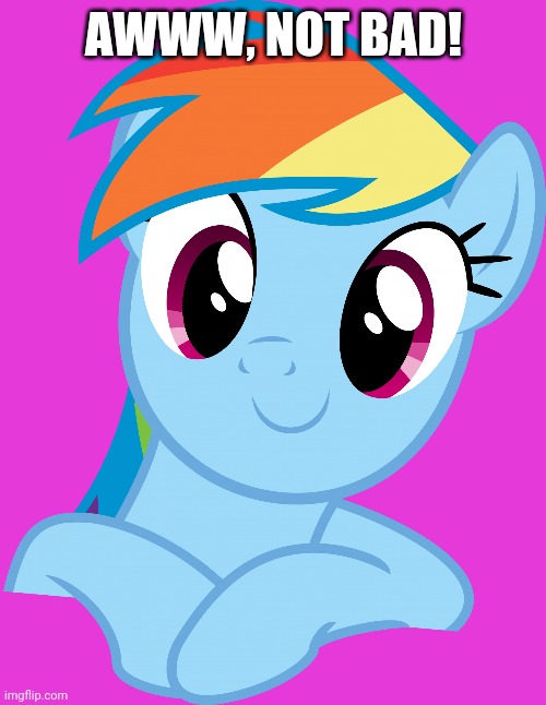 Happy Rainbow Dash (MLP) | AWWW, NOT BAD! | image tagged in happy rainbow dash mlp | made w/ Imgflip meme maker