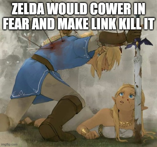 Link and zelda | ZELDA WOULD COWER IN FEAR AND MAKE LINK KILL IT | image tagged in link and zelda | made w/ Imgflip meme maker