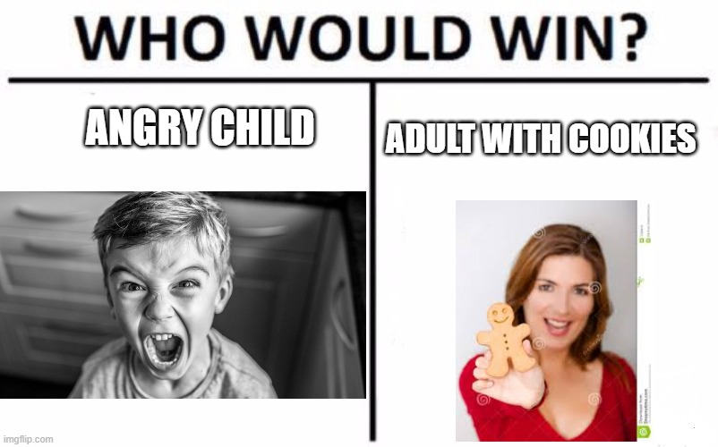 Who Would Win? Meme | ANGRY CHILD; ADULT WITH COOKIES | image tagged in memes,who would win,funny | made w/ Imgflip meme maker