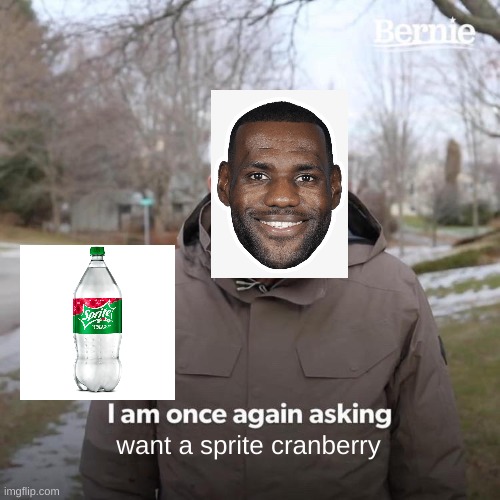 Bernie I Am Once Again Asking For Your Support Meme | want a sprite cranberry | image tagged in memes,bernie i am once again asking for your support | made w/ Imgflip meme maker