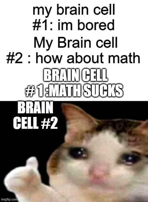 Sad cat thumbs up white spacing | my brain cell #1: im bored; My Brain cell #2 : how about math; BRAIN CELL # 1 :MATH SUCKS; BRAIN CELL #2 | image tagged in sad cat thumbs up white spacing | made w/ Imgflip meme maker
