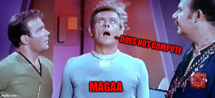 Does not compute! | ~ DOES NOT COMPUTE; MAGAA | image tagged in maga,magaa,donald trump,qanon | made w/ Imgflip meme maker