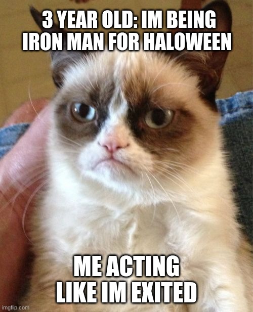 Grumpy Cat |  3 YEAR OLD: IM BEING IRON MAN FOR HALOWEEN; ME ACTING LIKE IM EXITED | image tagged in memes,grumpy cat | made w/ Imgflip meme maker