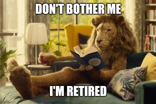 Lion relaxing | DON'T BOTHER ME I'M RETIRED | image tagged in lion relaxing | made w/ Imgflip meme maker