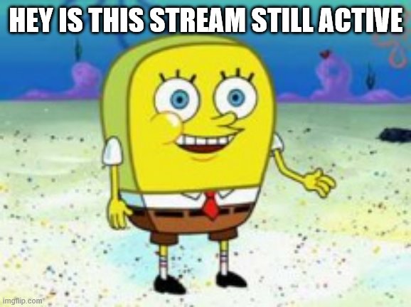 Hey How Are Ya |  HEY IS THIS STREAM STILL ACTIVE | image tagged in hey how are ya | made w/ Imgflip meme maker