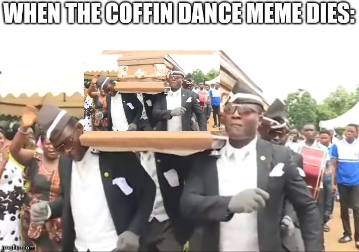 Coffin Dance | WHEN THE COFFIN DANCE MEME DIES: | image tagged in coffin dance,memes | made w/ Imgflip meme maker