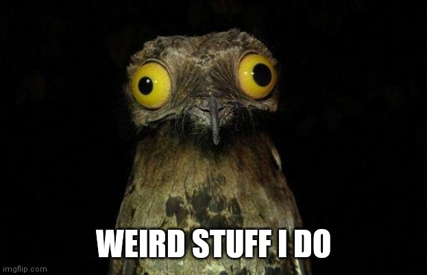 Weird Stuff I Do Potoo Meme | WEIRD STUFF I DO | image tagged in memes,weird stuff i do potoo | made w/ Imgflip meme maker