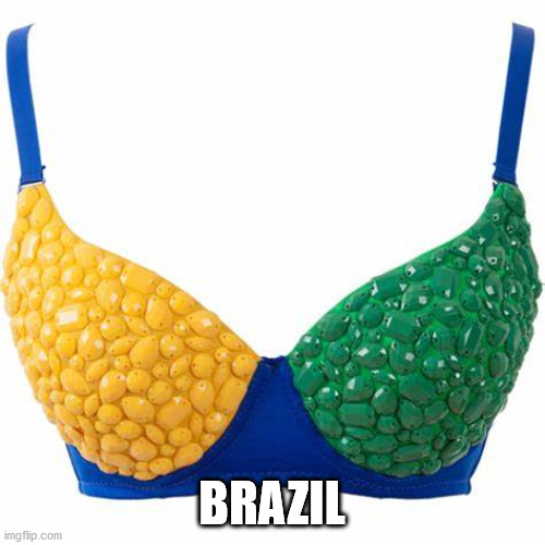 BRAZIL | made w/ Imgflip meme maker