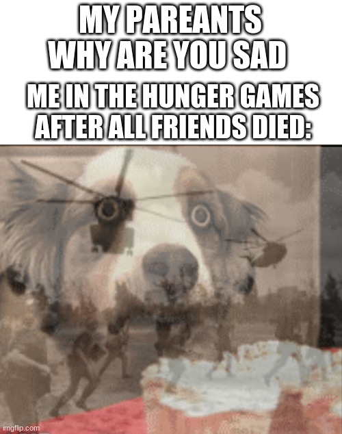 shoutout to @theFESTIVEmememan for making the template | MY PAREANTS WHY ARE YOU SAD; ME IN THE HUNGER GAMES AFTER ALL FRIENDS DIED: | image tagged in ptsd muffin dog,flashback,war ptsd | made w/ Imgflip meme maker