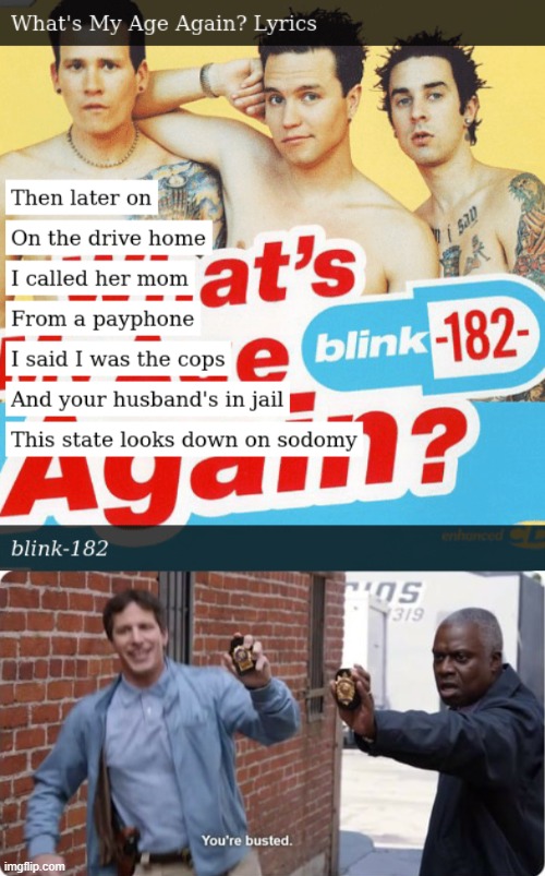 Blink-182 Busted | image tagged in blink,brooklyn nine nine | made w/ Imgflip meme maker
