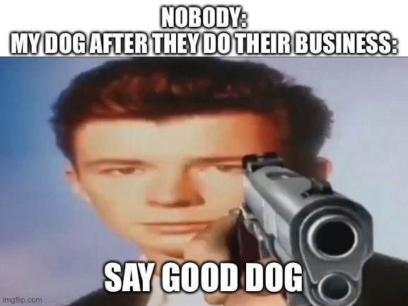 Lol | NOBODY:
MY DOG AFTER THEY DO THEIR BUSINESS:; SAY GOOD DOG | image tagged in mmmmm,oh wow are you actually reading these tags | made w/ Imgflip meme maker
