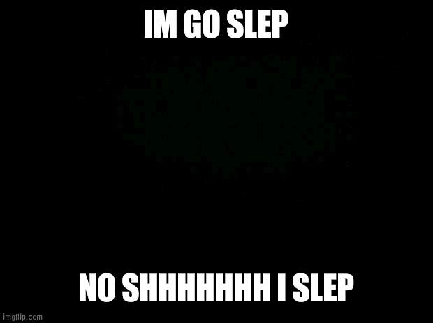 nugets sut up | IM GO SLEP; NO SHHHHHHH I SLEP | image tagged in black background | made w/ Imgflip meme maker
