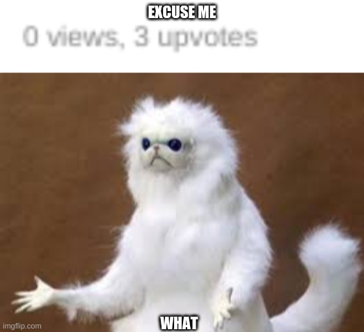 excuse me | EXCUSE ME; WHAT | image tagged in what | made w/ Imgflip meme maker